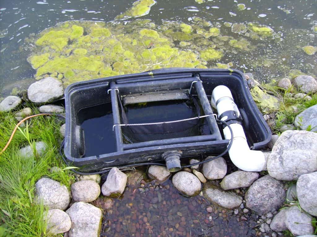 Large pond skimmer before removal