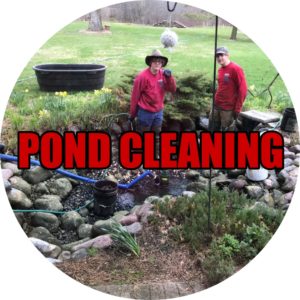 Pond Cleaning Button
