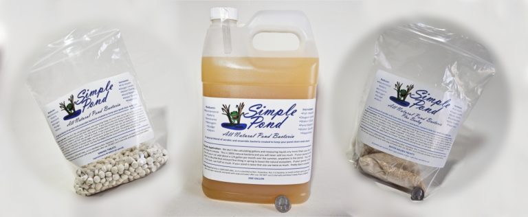 Simple Pond Bacteria Selection