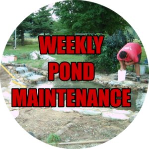 Weekly Pond Maintenance Buttons