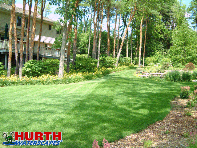 backyard landscape with daylily border