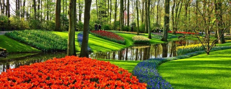 flower garden along the stream