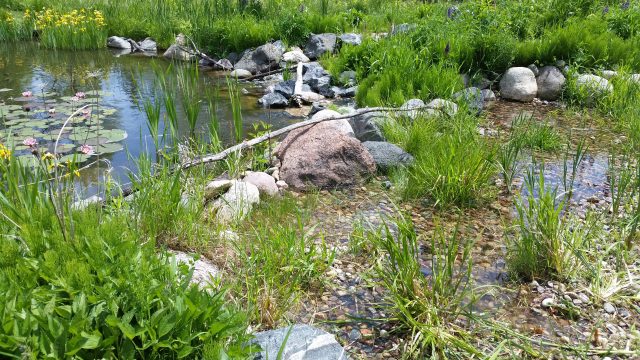 Upflow wetland filter