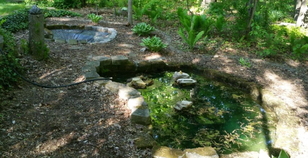 ponds in need of a makeover