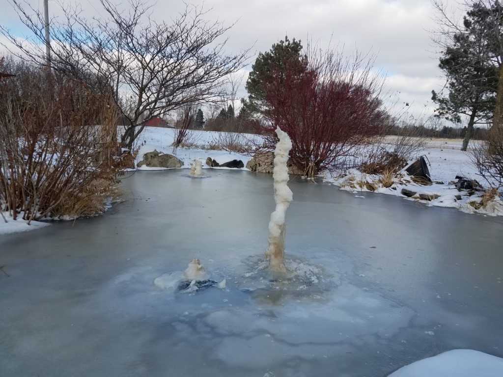 strange pond sculptures 1 1