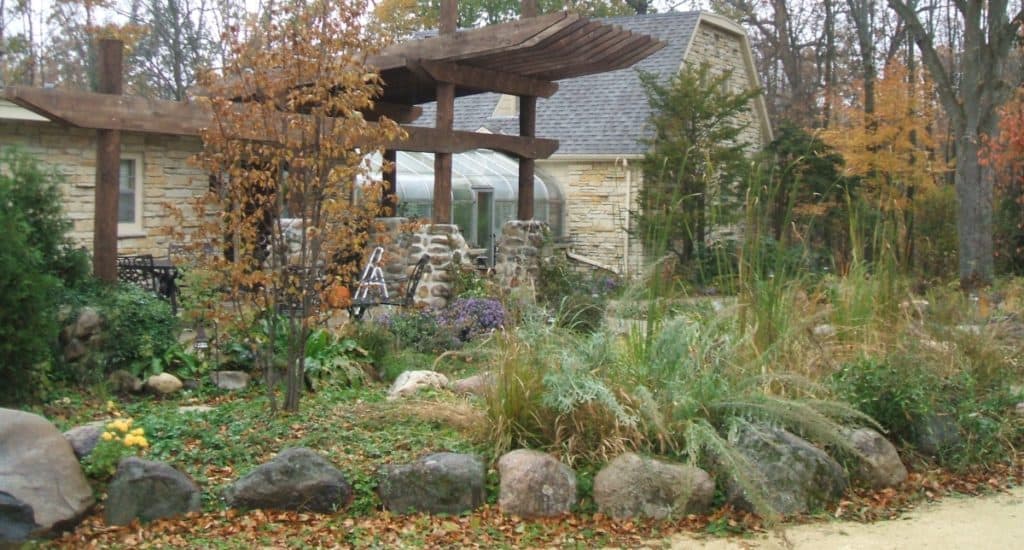 tall grasses at a wetland