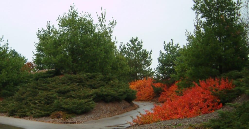 walk splitting the berm